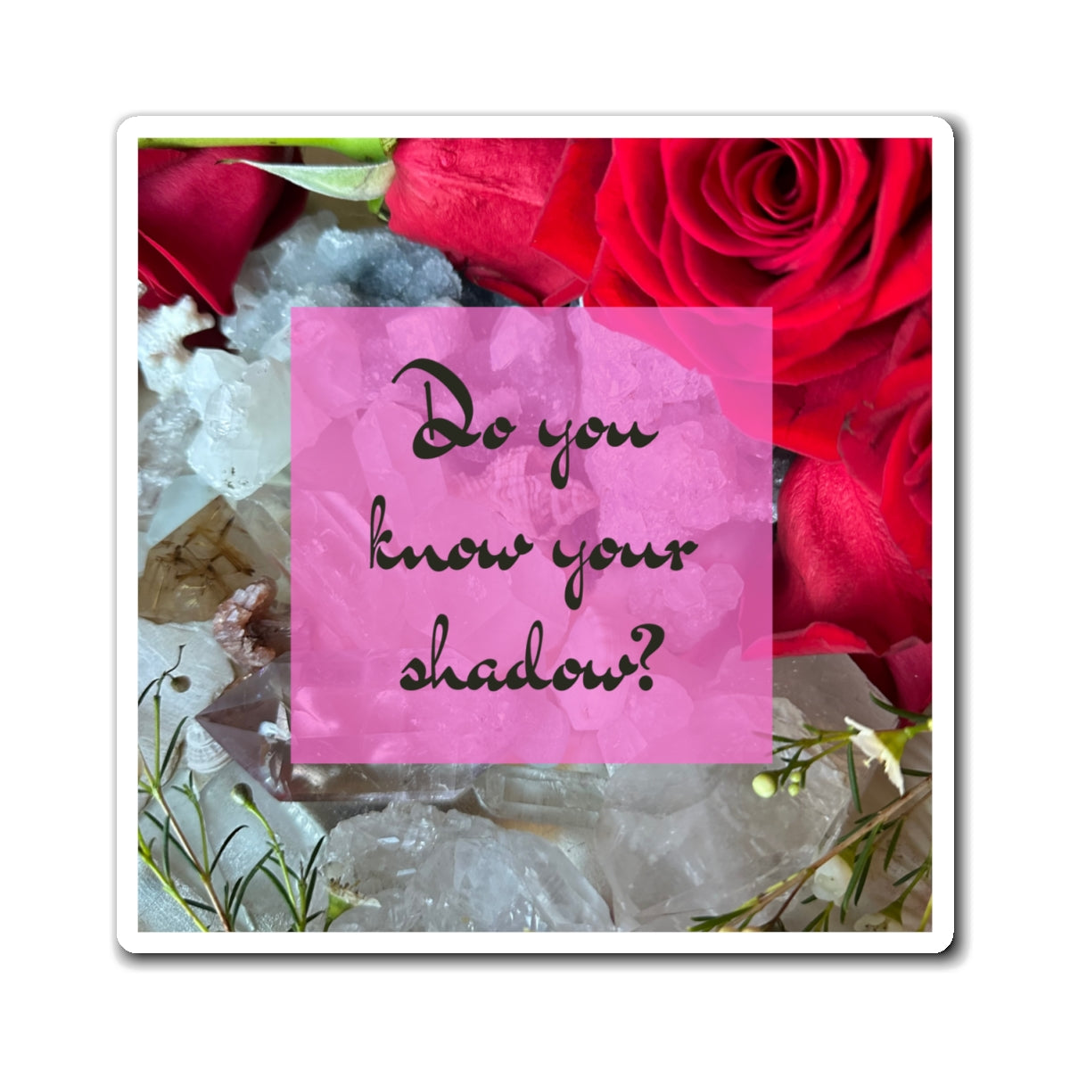 'Do you know your shadow?' Red Rose & Crystal Magnet